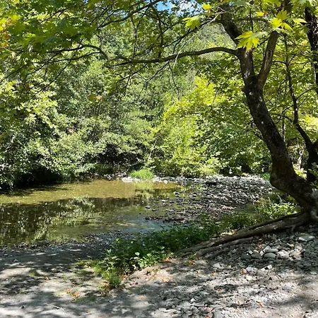 酒店 伊利而达卡兹达格拉利酒店