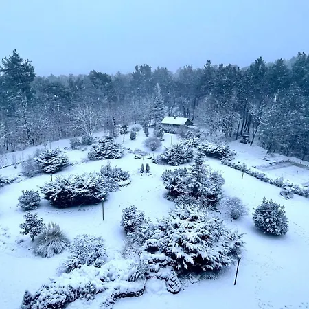 伊利而达卡兹达格拉利酒店 4* Kalkım