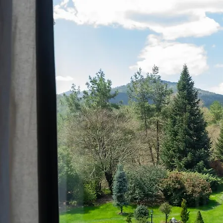 酒店 伊利而达卡兹达格拉利酒店 Kalkım