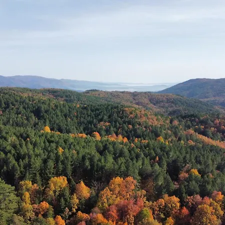 酒店 伊利而达卡兹达格拉利酒店 4*