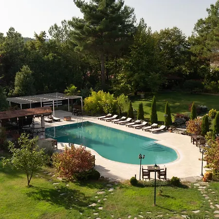 Iliada Kaz Daglari Kalkım