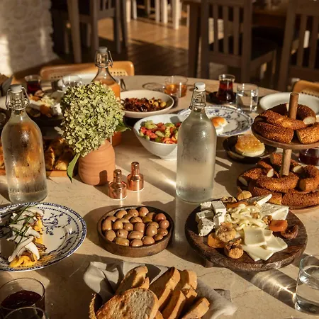 伊利而达卡兹达格拉利酒店 酒店 4*