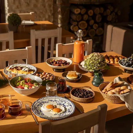 伊利而达卡兹达格拉利酒店