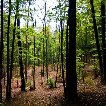 Hotel Iliada Kaz Daglari Kalkım