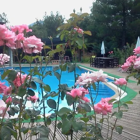 酒店 伊利而达卡兹达格拉利酒店 Kalkım