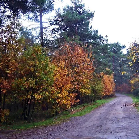 伊利而达卡兹达格拉利酒店 Kalkım