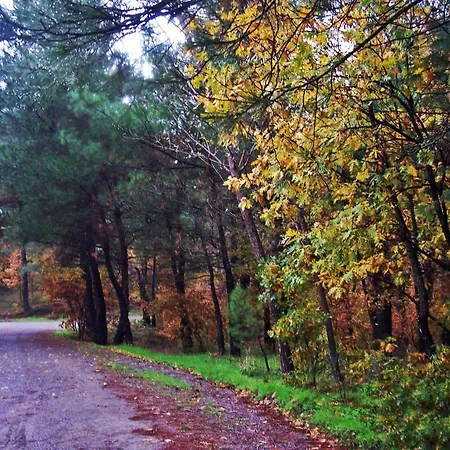 伊利而达卡兹达格拉利酒店 酒店