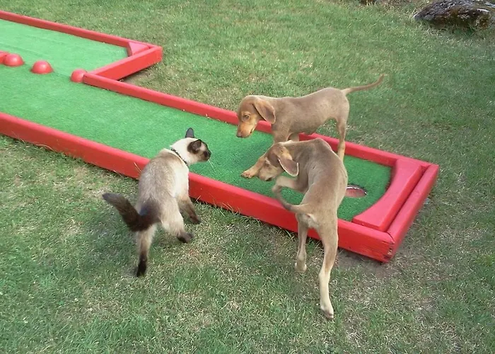 Szálloda Iliada Kaz Daglari Kalkım