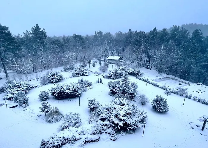 Iliada Kaz Daglari 4* Kalkım