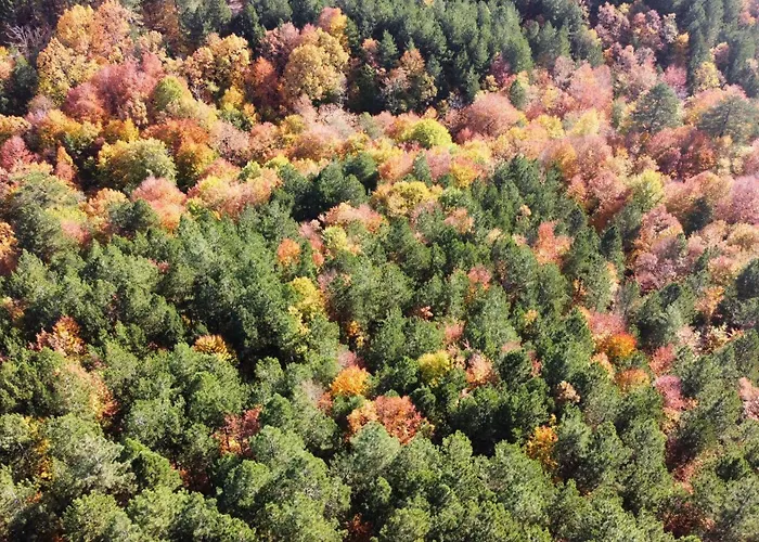Szálloda Iliada Kaz Daglari Kalkım
