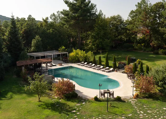 Iliada Kaz Daglari Kalkım