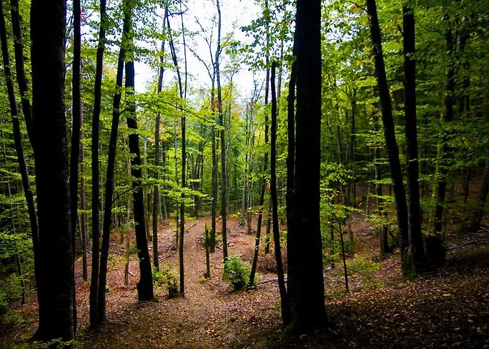 Szálloda Iliada Kaz Daglari Kalkım