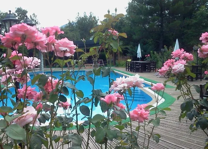 Szálloda Iliada Kaz Daglari Kalkım