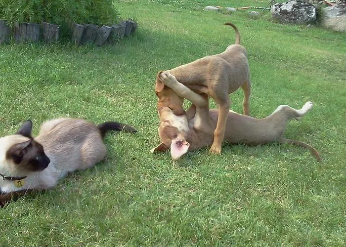 Iliada Kaz Daglari Szálloda Kalkım