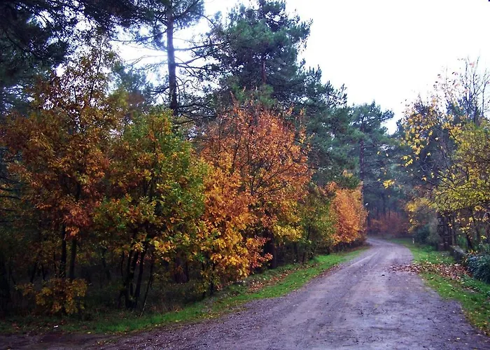 Iliada Kaz Daglari Kalkım